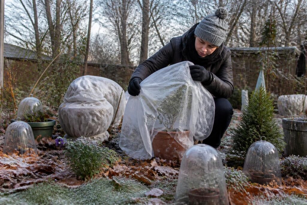 Protéger ses plantes du gel : les gestes essentiels avant l&rsquo;hiver